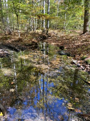 Sugarloaf Mountain by null