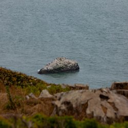 Photosprouts Photography Workshops - Day 3