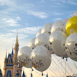 Kingdom Adventures Travel - Magic Kingdom