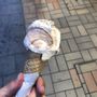 Photo of Gelateria artigianale Pingui