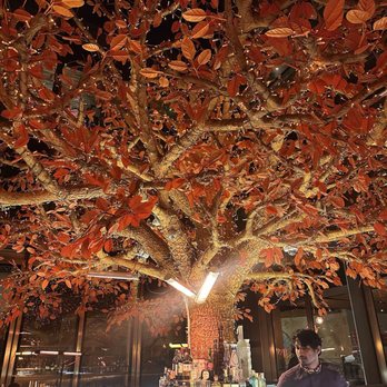 Sushisamba - Asian Fusion Near Me - London, XGL