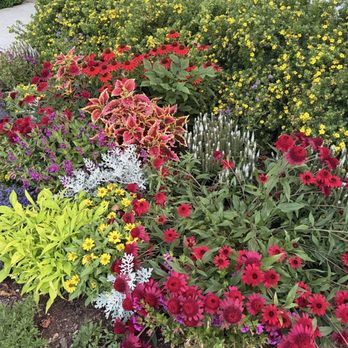 Bar Harbor Inn - The grounds - Hotels Near Me - Bar Harbor, Maine