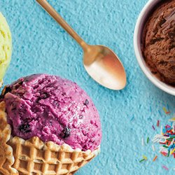 Peterbrooke Chocolatier Amelia Island - Homemade Gelato!