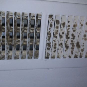 Appalachian Air Ducts - Mold growth on Air Vent - Air Duct Cleaning Near Me - Concord, North Carolina Appalachian Air Ducts - Mold growth on Air Vent - Air Duct Cleaning Near Me - Concord, North Carolina