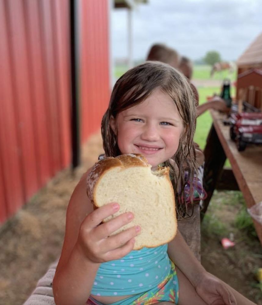 Worthy Stables - equestrian in Petal, MS