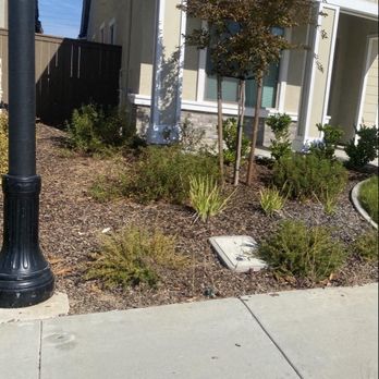 Evergreen Landscaping Services - Landscaping Near Me