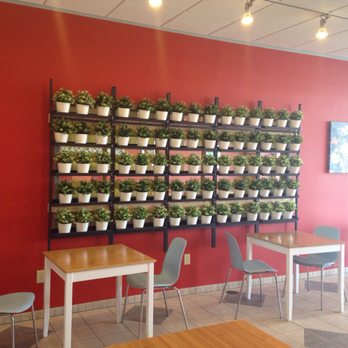 Eurasia - Beautiful wall of plants - Mediterranean Near Me - Loveland, Ohio