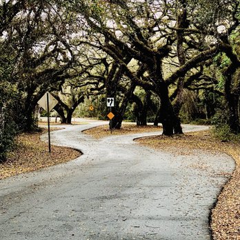 Crews Lake Wilderness  Park - Gorgeous wilderness park, hiking trails, biking trails, gardens, lake & shelters. The trees are so beautiful here. Moi fave. - Parks Near Me - Spring Hill, Florida