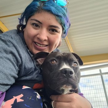 Fort Worth North Animal Campus - This is Stephen, such a cutie - Animal Shelters Near Me - Fort Worth, Texas Fort Worth North Animal Campus - This is Stephen, such a cutie - Animal Shelters Near Me - Fort Worth, Texas