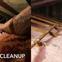 Photo of Dahl Attic Cleaning