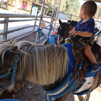 Irvine Regional Park Pony Ride - Horseback Riding Near Me - Orange, California Irvine Regional Park Pony Ride - Horseback Riding Near Me - Orange, California