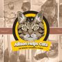 Photo of Allison Helps Cats