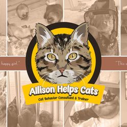 Allison Helps Cats