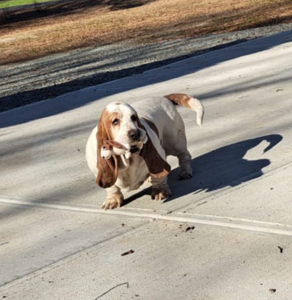 Slide of Mares Plumbing