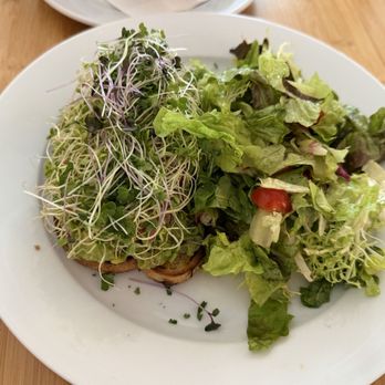 Bloom - American Near Me - Santa Clara, California