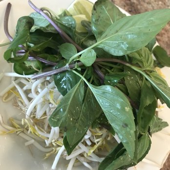 Pho 88 Noodle - Bean sprouts, mint leaves for the soup. - Vietnamese Near Me - Orlando, Florida Pho 88 Noodle - Bean sprouts, mint leaves for the soup. - Vietnamese Near Me - Orlando, Florida