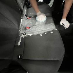 CarGloss - Polsterreinigung & Schimmelentfernung