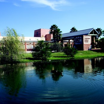 Hospital view 5