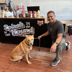 Splash Hound USA Midtown Sacramento - Max and Tony, the owner