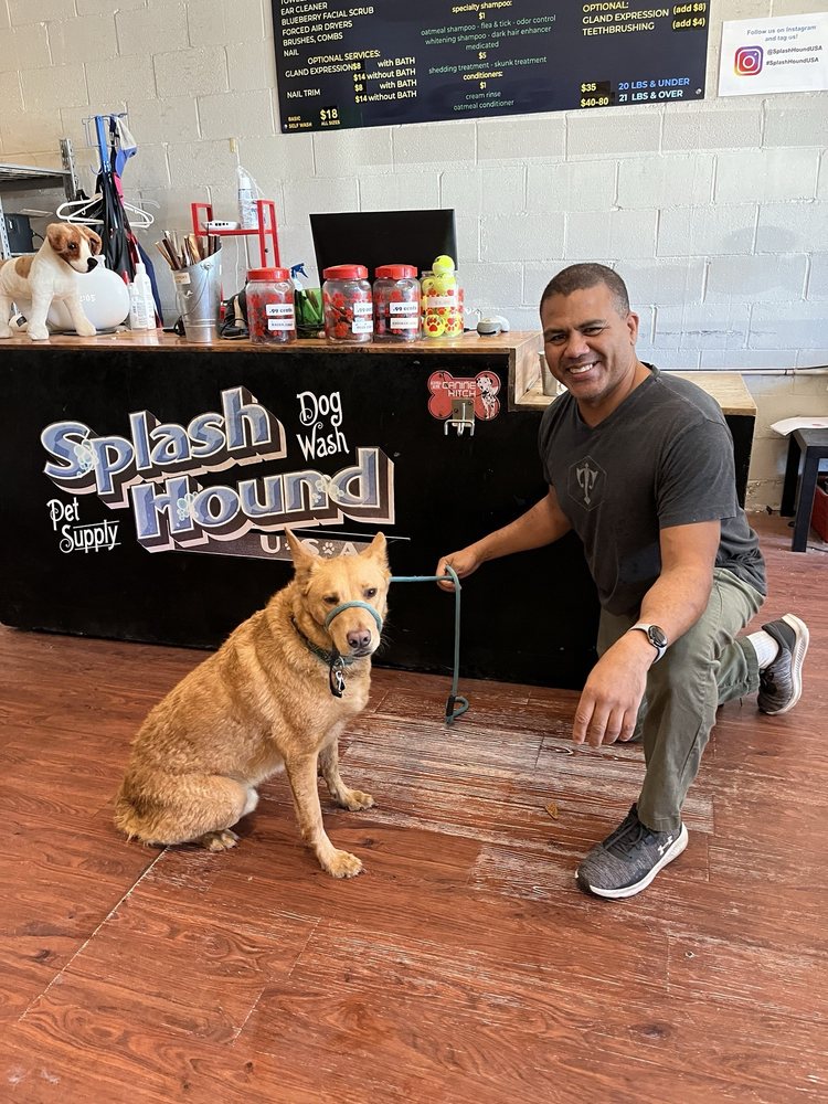 Splash Hound USA Midtown Sacramento