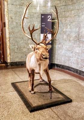 Historical Museum by null