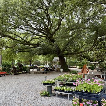 Pinelands Nursery - Nurseries & Gardening Near Me - Milton, Florida Pinelands Nursery - Nurseries & Gardening Near Me - Milton, Florida
