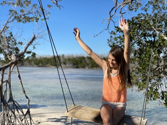 Sandspur Beach by null