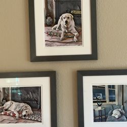 Chandler Fine Art & Framing