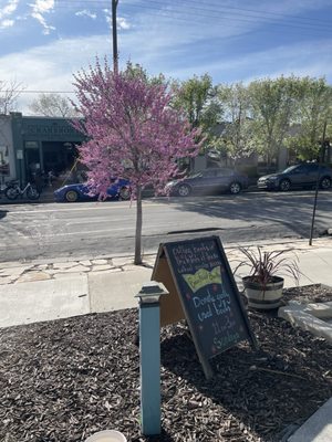 King's English Bookshop by null