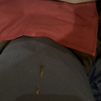Viva Goa - Spilled some Chicken Tikka Masala on my shirt - Indian Near Me - San Francisco, California