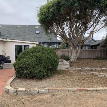 LC Tree Service - After snapshot - Tree Services Near Me - San Diego, California LC Tree Service - After snapshot - Tree Services Near Me - San Diego, California