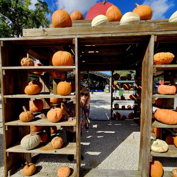 By Brothers - I'm hiding - Fruits & Veggies Near Me - Miami, Florida By Brothers - I'm hiding - Fruits & Veggies Near Me - Miami, Florida