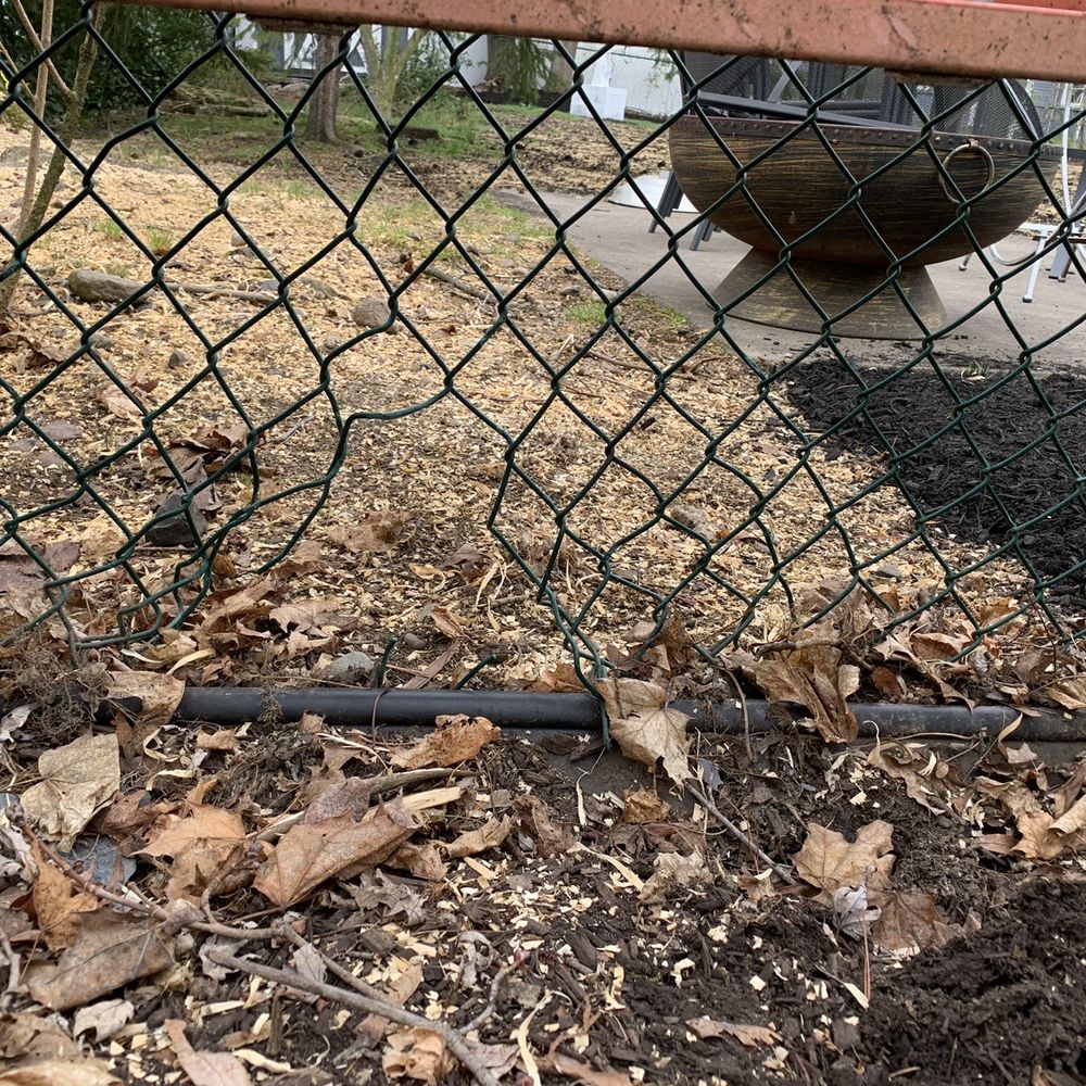 Broken fence
