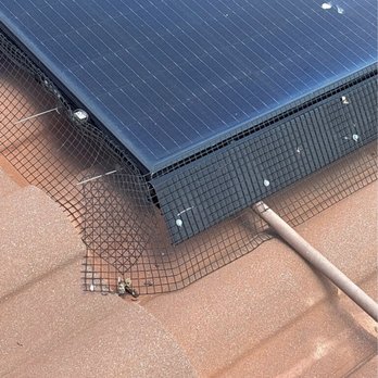 RatPact Ext - Broken mesh - Pest Control Near Me