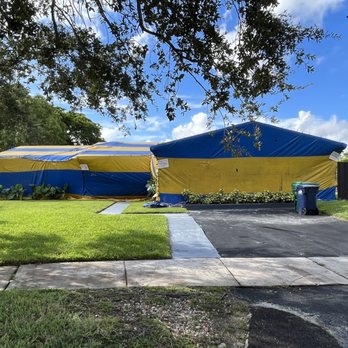 The Termite Boy - Pest Control Near Me - Miami, Florida The Termite Boy - Pest Control Near Me - Miami, Florida
