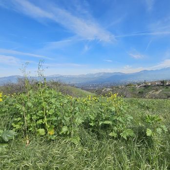 Schabarum Trail - Hiking Near Me - Walnut, California