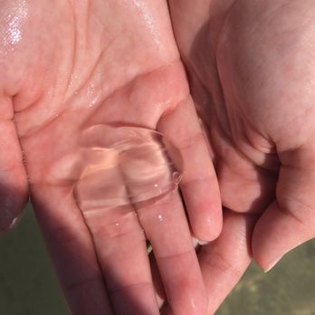 AquaVentures Eco Tours - Jellyfish - Fishing Near Me - Marathon, Florida
