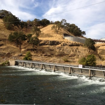 Nimbus Fish Hatchery - Aquariums Near Me - Gold River, California Nimbus Fish Hatchery - Aquariums Near Me - Gold River, California