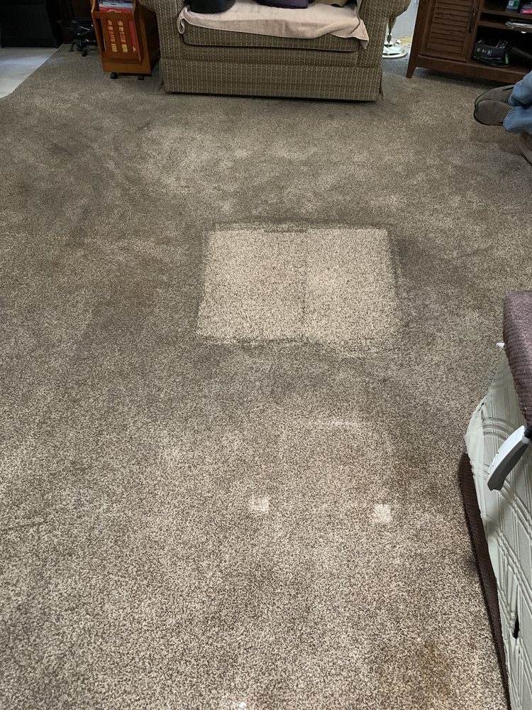 STEAM MASTERS Updated July 2024 18 Reviews Glendora, California