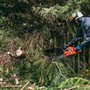 Photo of A Total Tree Service