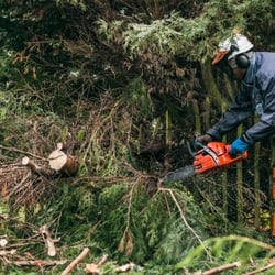 A Total Tree Service - Tree Trimming In Kalamazoo, MI