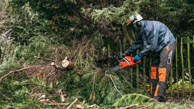 A Total Tree Service - tree service in Kalamazoo, MI