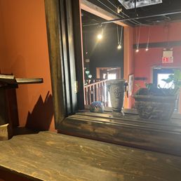 the reflection of a plant in the mirror