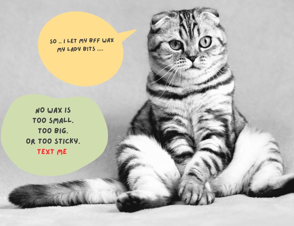 Skin And Brow Ink Boutique Logo