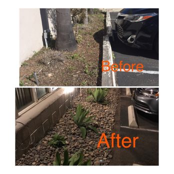 Grass Doctor Landscape - Parking area- removal of dead palm trees.  New river rock and plants; new concrete wheel stoppers. - Landscaping Near Me - Spring Valley, California