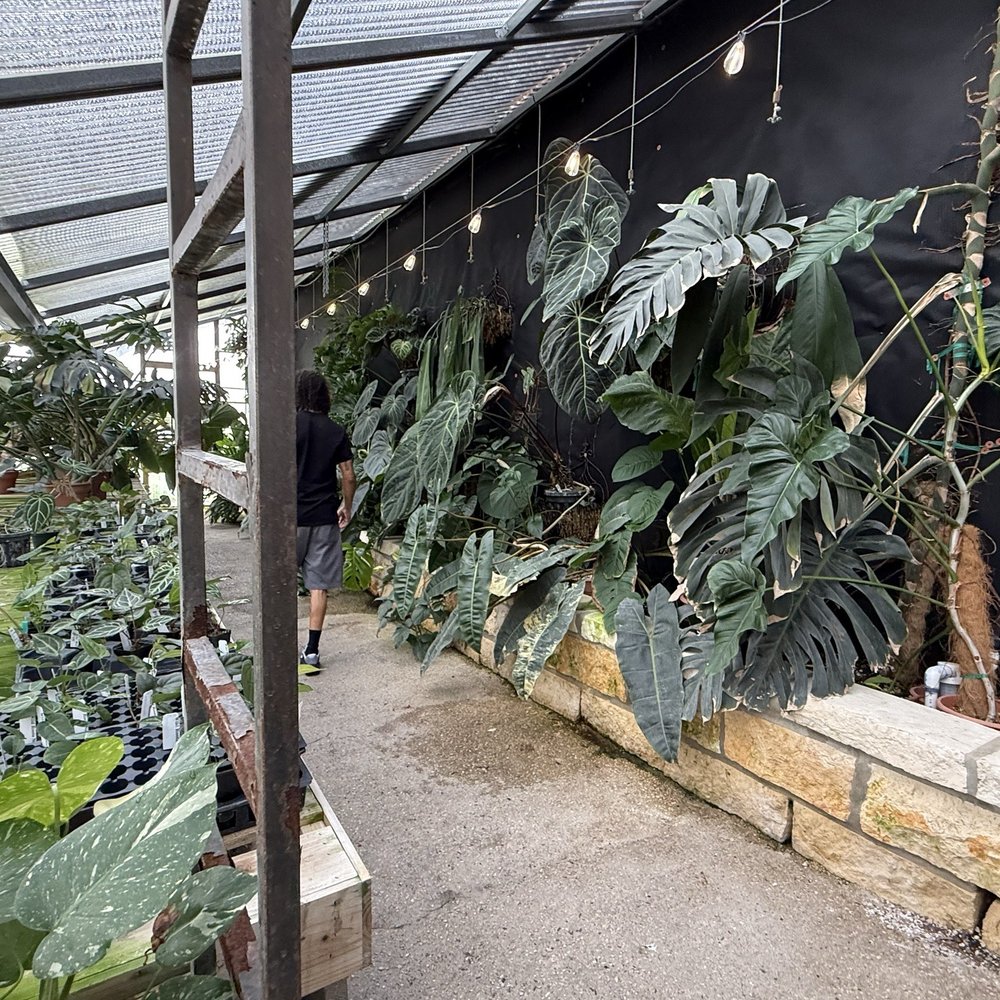 Wild Roots Nursery - Nurseries & Gardening Near Me - New Braunfels, Texas Wild Roots Nursery - Nurseries & Gardening Near Me - New Braunfels, Texas