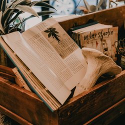 Flowers and the Moon - Botanical design and vintage gardening books, stampington publication magazines, and more...