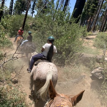 Five Brooks Ranch - Horseback Riding Near Me - Olema, California Five Brooks Ranch - Horseback Riding Near Me - Olema, California