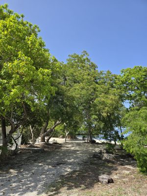 John Pennekamp Coral Reef State Park by null