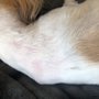Photo of All Kinds Clipped
